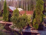����� 2004 ����